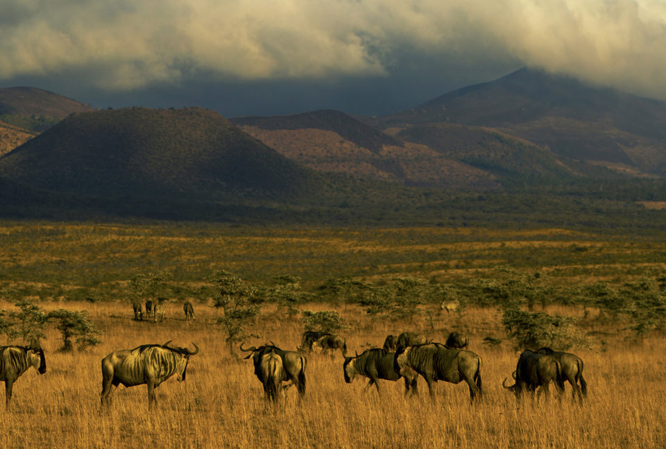 Chyulu national park
