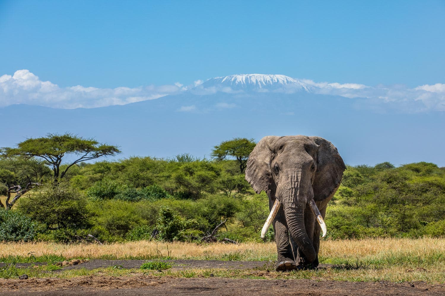 Chyulu national park